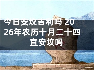 今日安坟吉利吗 2026年农历十月二十四宜安坟吗
