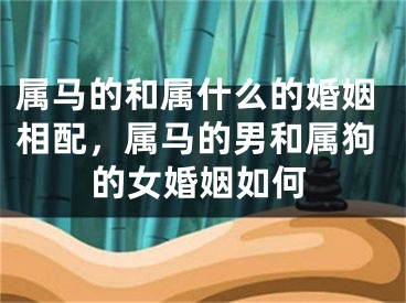 属马的和属什么的婚姻相配,属马的男和属狗的女婚姻如何