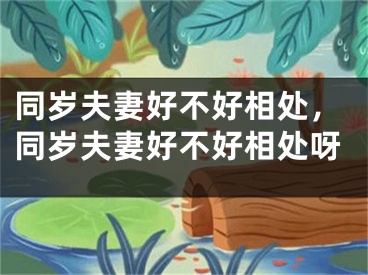 同岁夫妻好不好相处，同岁夫妻好不好相处呀