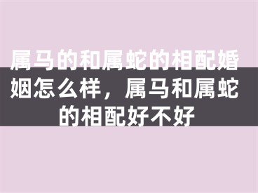 属马的和属蛇的相配婚姻怎么样,属马和属蛇的相配好不好