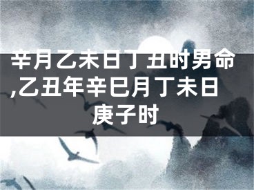 辛月乙未日丁丑时男命,乙丑年辛巳月丁未日庚子时
