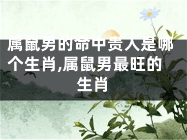 属鼠男的命中贵人是哪个生肖,属鼠男最旺的生肖