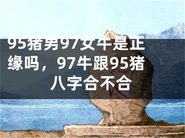 95猪男97女牛是正缘吗,97牛跟95猪八字合不合