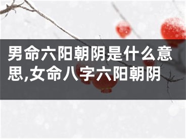男命六阳朝阴是什么意思,女命八字六阳朝阴