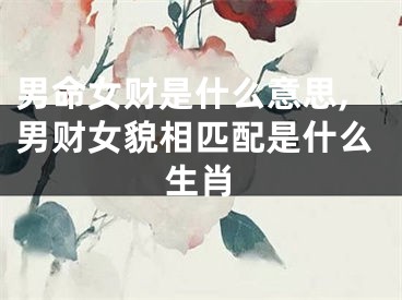男命女财是什么意思,男财女貌相匹配是什么生肖