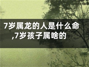 7岁属龙的人是什么命,7岁孩子属啥的