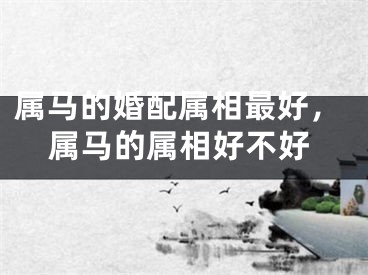 属马的婚配属相最好,属马的属相好不好