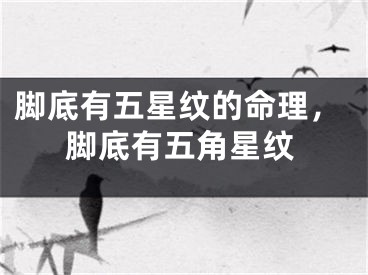 脚底有五星纹的命理，脚底有五角星纹