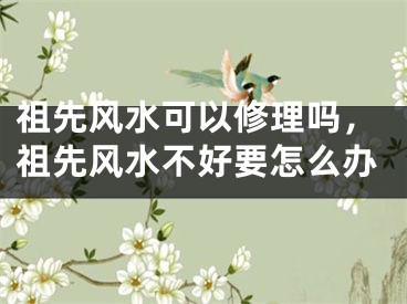 祖先风水可以修理吗，祖先风水不好要怎么办