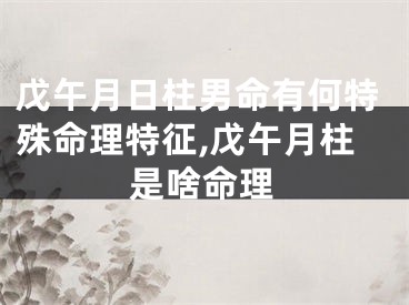 戊午月日柱男命有何特殊命理特征,戊午月柱是啥命理