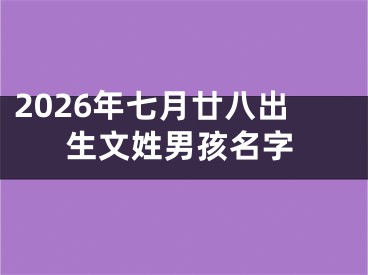 2026年七月廿八出生文姓男孩名字