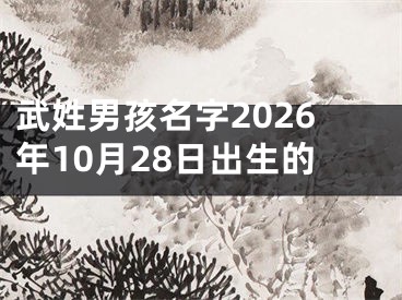 武姓男孩名字2026年10月28日出生的