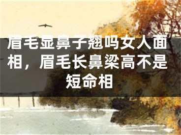 眉毛显鼻子翘吗女人面相，眉毛长鼻梁高不是短命相