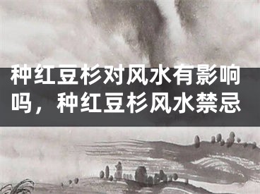种红豆杉对风水有影响吗，种红豆杉风水禁忌