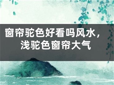 窗帘驼色好看吗风水,浅驼色窗帘大气