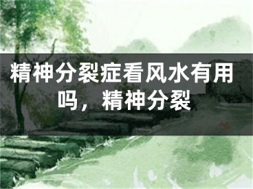 精神分裂症看风水有用吗,精神分裂