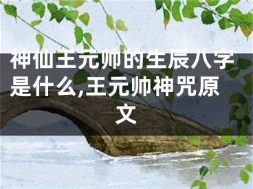 神仙王元帅的生辰八字是什么,王元帅神咒原文