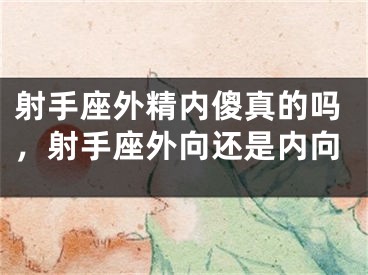 射手座外精内傻真的吗，射手座外向还是内向