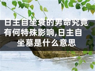 日主自坐衰的男命究竟有何特殊影响,日主自坐墓是什么意思