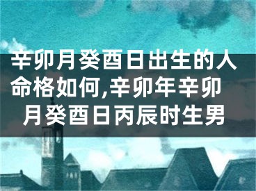 辛卯月癸酉日出生的人命格如何,辛卯年辛卯月癸酉日丙辰时生男