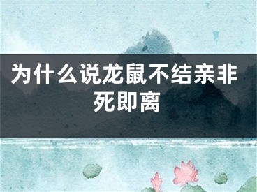 为什么说龙鼠不结亲非死即离