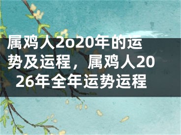 属鸡人2o20年的运势及运程，属鸡人2026年全年运势运程