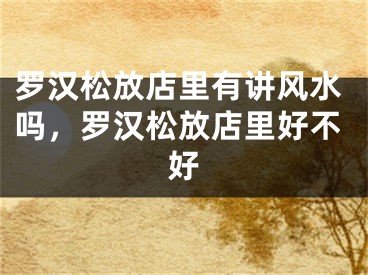 罗汉松放店里有讲风水吗,罗汉松放店里好不好