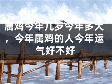 属鸡今年几岁今年多大，今年属鸡的人今年运气好不好