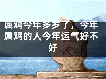 属鸡今年多岁了，今年属鸡的人今年运气好不好