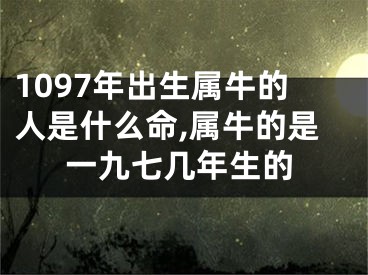 1097年出生属牛的人是什么命,属牛的是一九七几年生的