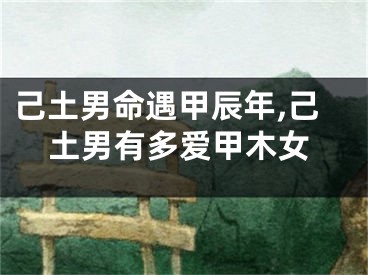 己土男命遇甲辰年,己土男有多爱甲木女