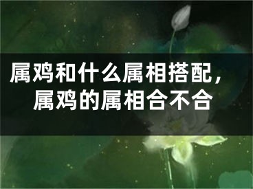 属鸡和什么属相搭配，属鸡的属相合不合