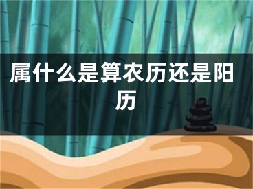 属什么是算农历还是阳历