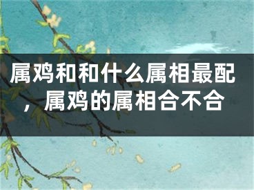 属鸡和和什么属相最配，属鸡的属相合不合