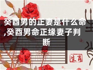 癸酉男的正妻是什么命,癸酉男命正缘妻子判断