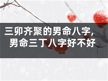 三卯齐聚的男命八字,男命三丁八字好不好