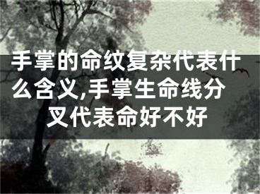 手掌的命纹复杂代表什么含义,手掌生命线分叉代表命好不好