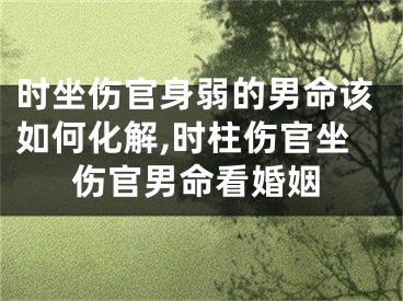 时坐伤官身弱的男命该如何化解,时柱伤官坐伤官男命看婚姻