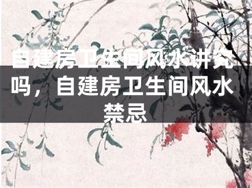 自建房卫生间风水讲究吗,自建房卫生间风水禁忌