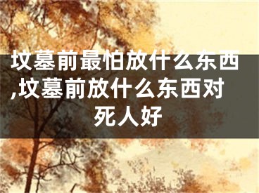 坟墓前最怕放什么东西,坟墓前放什么东西对死人好