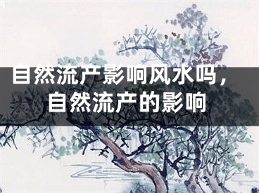 自然流产影响风水吗,自然流产的影响
