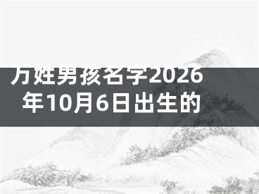 万姓男孩名字2026年10月6日出生的