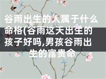 谷雨出生的人属于什么命格(谷雨这天出生的孩子好吗,男孩谷雨出生的富贵命