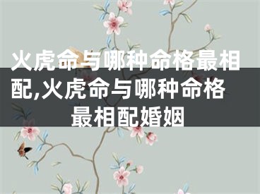 火虎命与哪种命格最相配,火虎命与哪种命格最相配婚姻