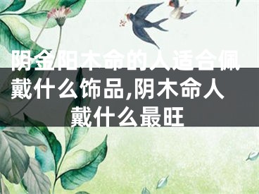 阴金阳木命的人适合佩戴什么饰品,阴木命人戴什么最旺