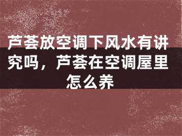 芦荟放空调下风水有讲究吗,芦荟在空调屋里怎么养