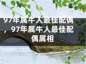 97年属牛人最佳配偶，97年属牛人最佳配偶属相