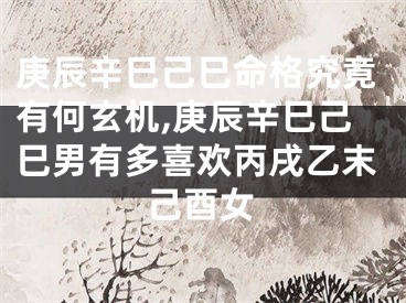 庚辰辛巳己巳命格究竟有何玄机,庚辰辛巳己巳男有多喜欢丙戌乙末己酉女