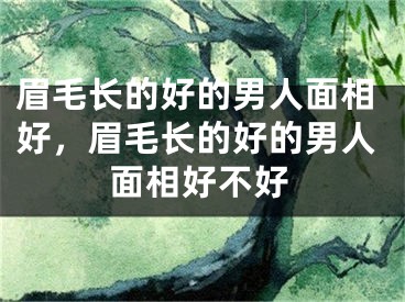 眉毛长的好的男人面相好，眉毛长的好的男人面相好不好