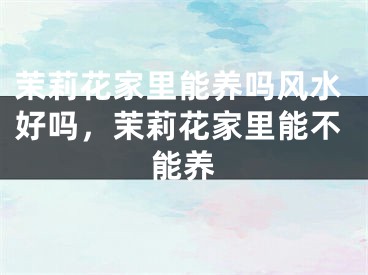 茉莉花家里能养吗风水好吗,茉莉花家里能不能养